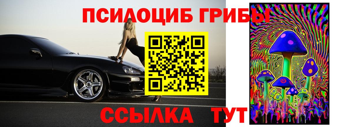 Галлюциногенные грибы Psilocybine cubensis  Вход с VPN  магазин продажи   Пенза 
