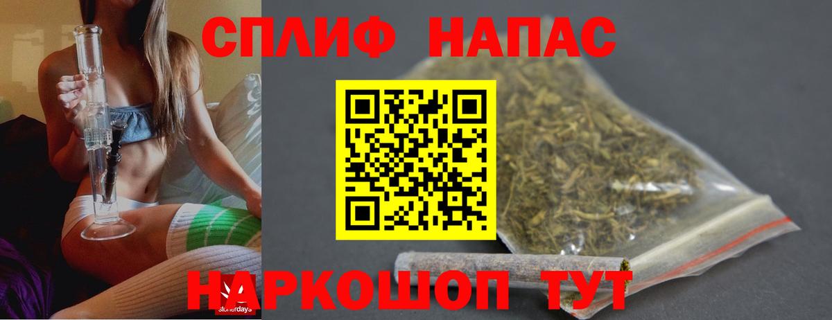 Конопля гибрид Пенза